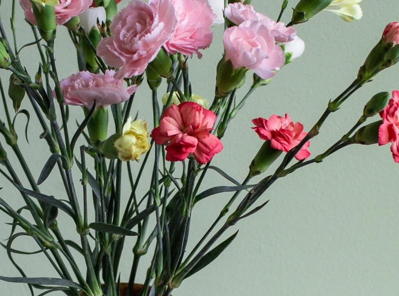 Backtrader 最流行的量化回测框架